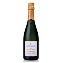 Champagne Apollonis - Authentic Meunier Blanc De Noirs Champagne - Box - Pinot Meunier - Luxury Limited Edition