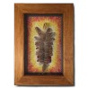 Corrado Novello - Aesthetic Research - Feathers 2