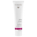 Dr. Hauschka - Conditioner - Promotes Silkiness and Shine Without Weighing Down The Hair - Professional Luxury Cosmetics