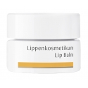Dr. Hauschka - Lip Balm - Soothes, Nurtures and Protects - Professional Luxury Cosmetics