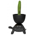Qeeboo - Turtle Carry - Black - Qeeboo Planter and Champagne Cooler by Marcantonio - Furnishing - Home