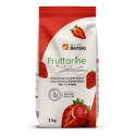 Molino Bertolo - Strawberry Type 1 Flour - Made With Fruit - Type 1 Soft Wheat Flour with Strawberry Flakes - 1 Kg