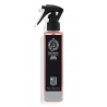 Farmacia SS. Annunziata 1561 - Arte dei Vaiai e Pellicciai - Spray - Room Fragrance - Fragrance of Major Arts - Florence