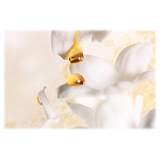 Dior - J’adore - Eau de Parfum - Fragranze Luxury - 30 ml