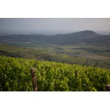 Massimago Wine Relais - Valpolicella Relax Experience - 3 Days 2 Nights
