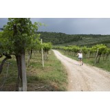 Massimago Wine Relais - Valpolicella Relax Experience - 3 Giorni 2 Notti