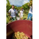 Massimago Wine Relais - Valpolicella Wine & Relax - Appartamento - 4 Persone - 5 Giorni 4 Notti