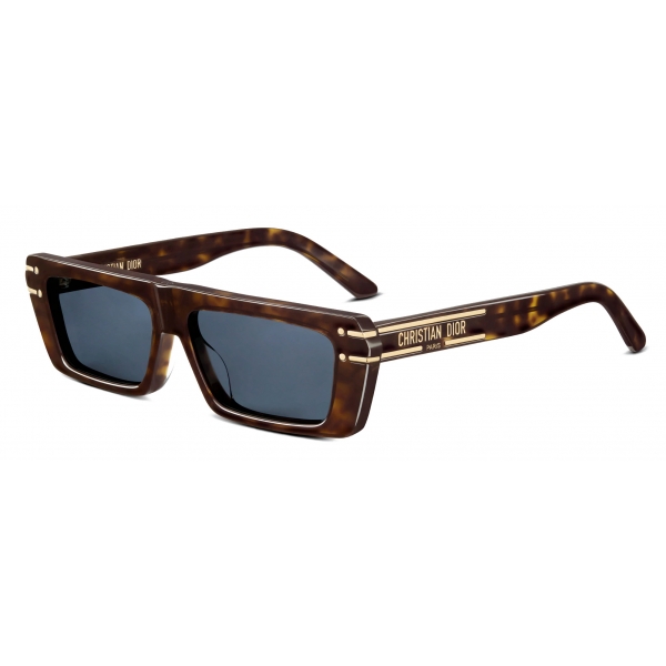 Dior - Sunglasses - DiorSignature S2U - Tortoise Brown - Dior Eyewear