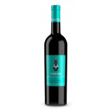 Scuderia Italia - Sauvignon Igt Venezia Giulia - 2019 - Italy - Red Wines - Luxury Limited Edition