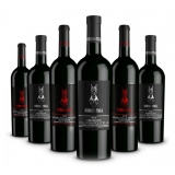 Scuderia Italia - Confezione 6 Bottiglie Valpolicella - Italia - Vini Rossi - Luxury Limited Edition