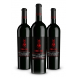 Scuderia Italia - Pack of 3 Valpolicella Ripasso Superiore D.O.C. Bottles  - Italy - Red Wines - Luxury Limited Edition