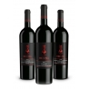 Scuderia Italia - Confezione 3 Bottiglie Vini Rossi  - Italia - Vini Rossi - Luxury Limited Edition