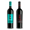 Scuderia Italia - Confezione 2 Bottiglie Lugana e Chianti - Italia - Vini Rossi - Luxury Limited Edition