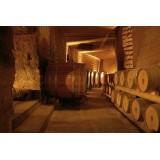 Conte Spagnoletti Zeuli - Tour Onofrio - Guided Tour of the XVIII Cellar, Olive Oil Plant, Vineyards and Olives - Daily