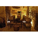 Conte Spagnoletti Zeuli - Tour Spagnoletti - Guided Tour of the XVIII Cellar, Olive Oil Plant, Vineyards and Olives - Daily