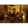 Conte Spagnoletti Zeuli - Tour Spagnoletti - Guided Tour of the XVIII Cellar, Olive Oil Plant, Vineyards and Olives - Daily