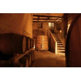 Conte Spagnoletti Zeuli - Tour Zeuli - Guided Tour of the XVIII Cellar, Olive Oil Plant, Vineyards and Olives - Daily