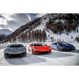 Billion Travel - Winter Alps - Ski Paradise - Exclusive Luxury Tour - Italia