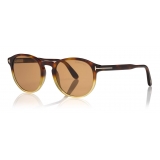 Tom Ford - Dante Sunglasses - Occhiali da Sole Rotondi - Havana Ambra - FT0834 - Occhiali da Sole - Tom Ford Eyewear