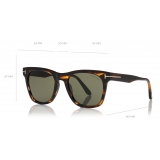 Tom Ford - Brooklyn Sunglasses - Square Sunglasses - Classic Havana - FT0833 - Sunglasses - Tom Ford Eyewear