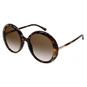 Pomellato - Iconica Sunglasses - Round - Havana Tortoiseshell - Pomellato Eyewear