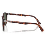 Persol - PO3152S - Havana / Green - Sunglasses - Persol Eyewear