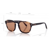 Tom Ford - Avery Sunglasses - Occhiali da Sole Rotondi - Havana - FT0931 - Occhiali da Sole - Tom Ford Eyewear