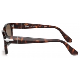 Persol - PO3288S - Havana / Polar Brown - Sunglasses - Persol Eyewear