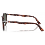 Persol - PO3171S - Havana / Green - Sunglasses - Persol Eyewear