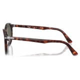 Persol - PO3171S - Havana / Verde - Occhiali da Sole - Persol Eyewear