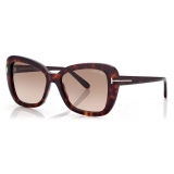 Tom Ford - Maeve Sunglasses - Occhiali da Sole a Farfalla - Havana Scuro - FT1008 - Occhiali da Sole - Tom Ford Eyewear