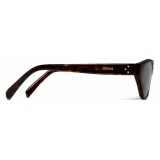 Céline - Cat-Eye S251 Sunglasses in Acetate - Red Havana - Sunglasses - Céline Eyewear