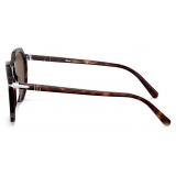 Persol - PO3281S - Havana / Polar Brown - Sunglasses - Persol Eyewear