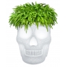 Qeeboo - Mexico Planter and Champagne Cooler Lamp with Rechargeable Led - Traslucida - Planter Qeeboo by Studio Job