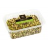 Vincente Delicacies - Pistachio Grain of Sicily - Dried Fruits in Ribbon Box