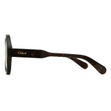 Chloé - Gayia Sunglasses in Acetate - Dark Havana Gradient Brown - Chloé Eyewear