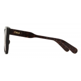 Chloé - Gayia Sunglasses in Acetate - Dark Havana Gradient Brown - Chloé Eyewear