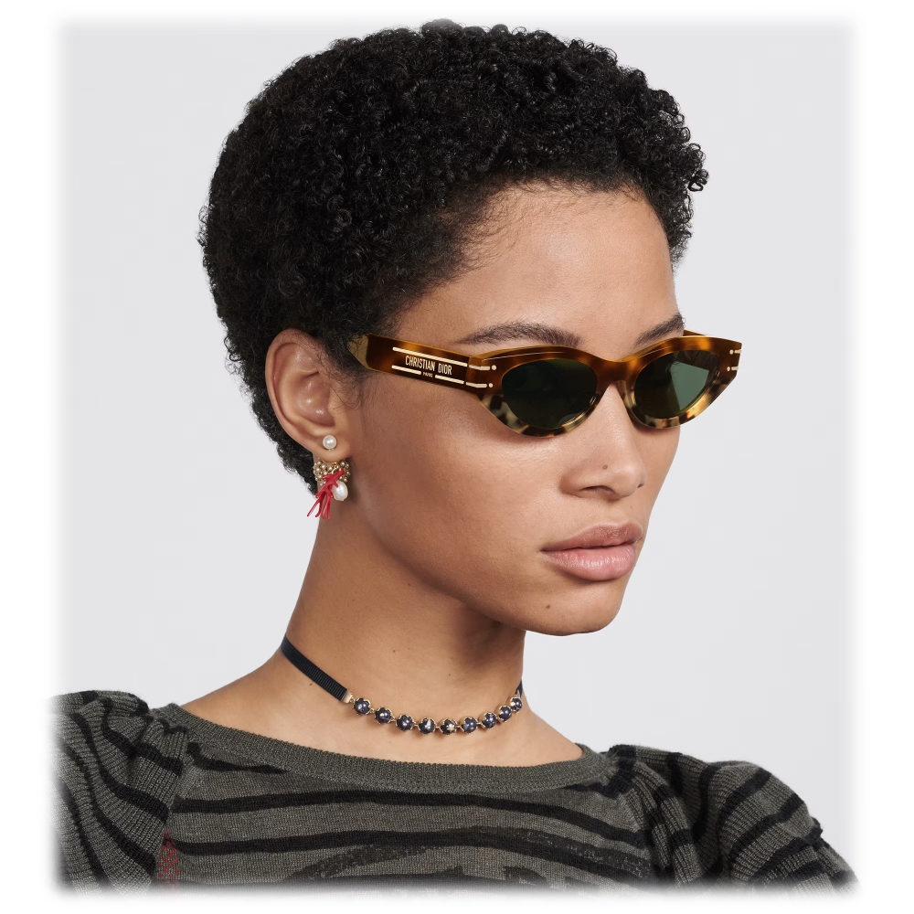 Dior - Sunglasses - DiorSignature B5I - Brown Tortoiseshell - Dior ...