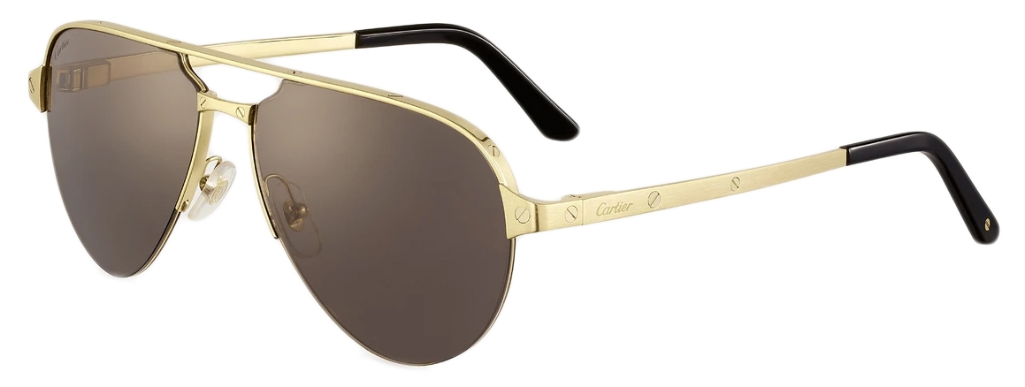 Cartier Pre-Loved Santos de Cartier sunglasses for Women - Gold in UAE |  Level Shoes