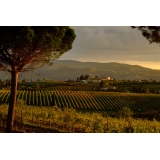 Borgobrufa SPA Resort - Natura & Vigne - 3 Giorni 2 Notti - Perugia - Assisi - Umbria - Italia - Exclusive Luxury