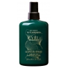 Everline Spa - Perfect Skin - Spray Leave-In with Babassu Oil and Murumuru Butter - Perfect Skin - Capelli - Professional