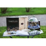 Savini Tartufi - Truffle Discovery - Truffle Experience - Guided Tour, Truffle Hunt and Tasting - Daily