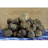 Savini Tartufi - Truffle Discovery - Truffle Experience - Guided Tour, Truffle Hunt and Tasting - Daily