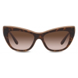 Dolce & Gabbana - New Print Sunglasses - Havana Gradient Brown - Dolce & Gabbana Eyewear