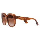 Dolce & Gabbana - Occhiale da Sole New Print - Avana Leo Marrone Sfumato - Dolce & Gabbana Eyewear