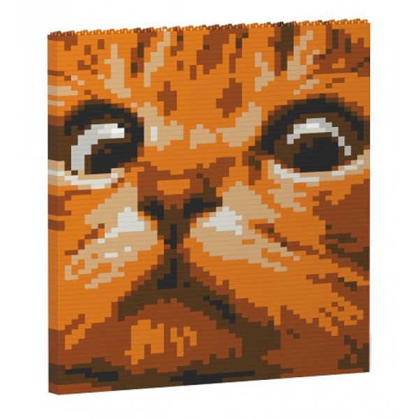 Jekca - Cat Eyes Brick Painting 02S-M01 - Lego - Sculpture - Construction - 4D - Brick Animals - Toys