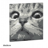 Jekca - Cat Eyes Brick Painting 02S-M02 - Lego - Sculpture - Construction - 4D - Brick Animals - Toys
