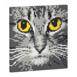 Jekca - Cat Eyes Brick Painting 04S-M02 - Lego - Scultura - Costruzione - 4D - Animali di Mattoncini - Toys