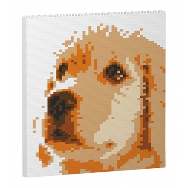 Jekca - Golden Retriever Brick Painting 01S - Lego - Scultura - Costruzione - 4D - Animali di Mattoncini - Toys
