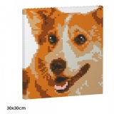 Jekca - Welsh Corgi Brick Painting 01S - Lego - Sculpture - Construction - 4D - Brick Animals - Toys